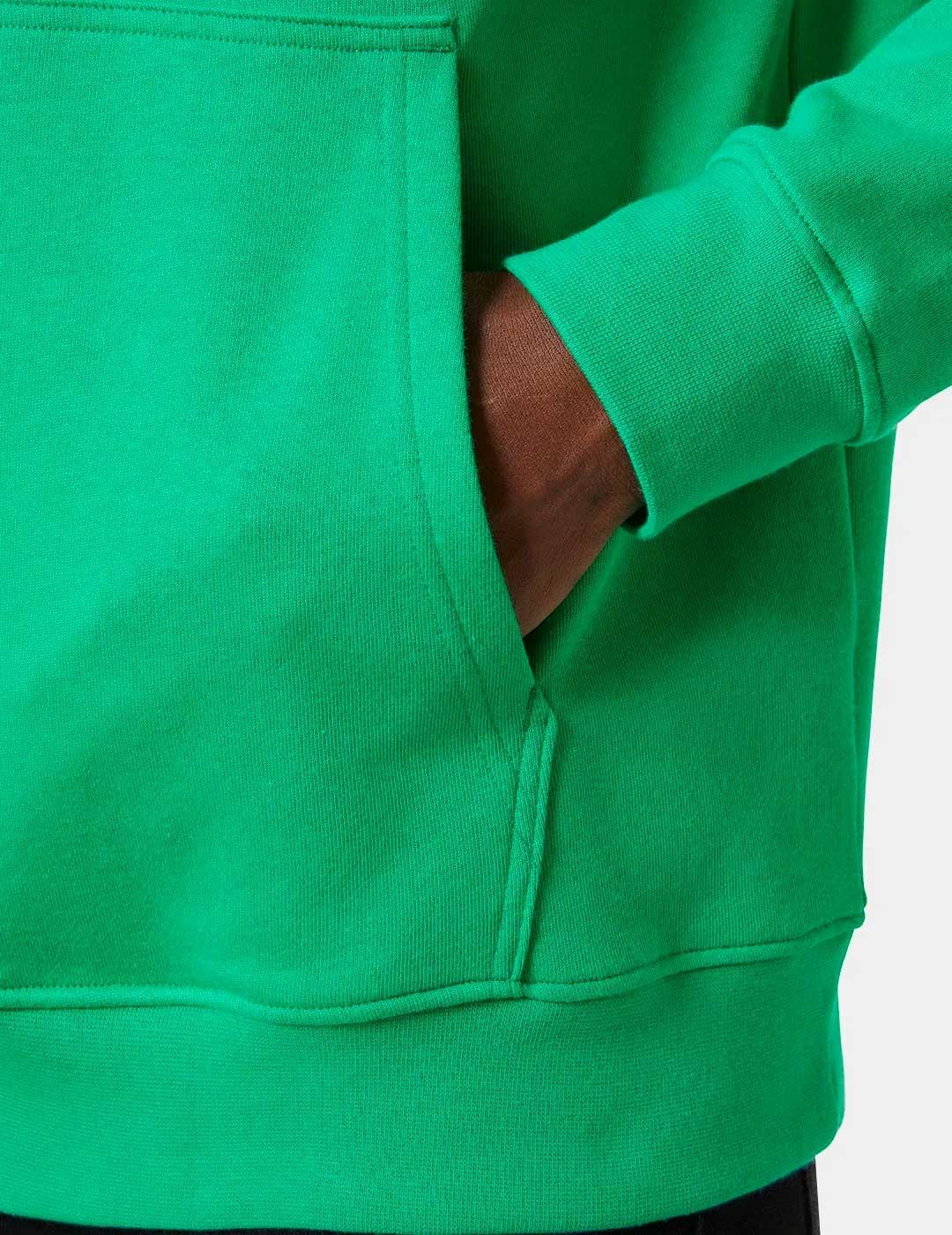 Sudadera Helly Hansen Core Graphic Hoodie verde para hombre